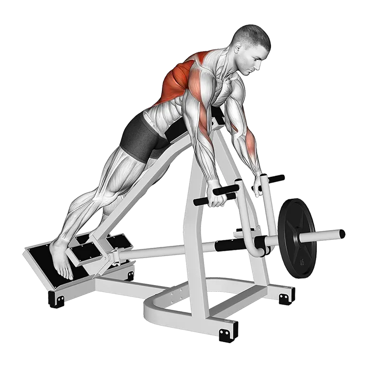 Lever Incline Prone Row exercise animation (Male)