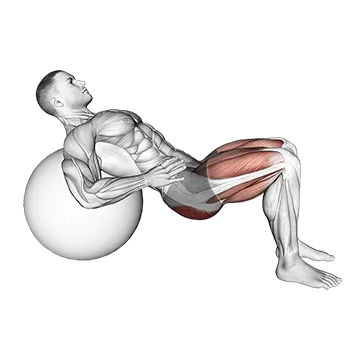 Lying Hip Lift (on stability ball) II