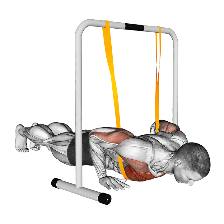 Resistance Band Explosive Push-up exercise animation (Male)