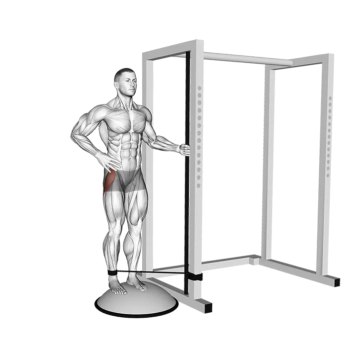 Band Standing on Bosu Ball Single Leg Abduction exercise animation (Male)