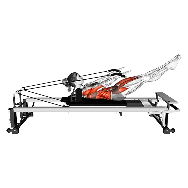 Pilates Machine Hundred exercise animation (Female)