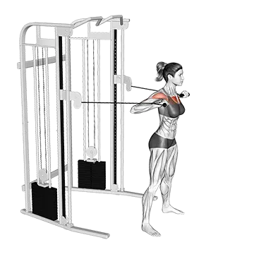Cable Standing Chest Press