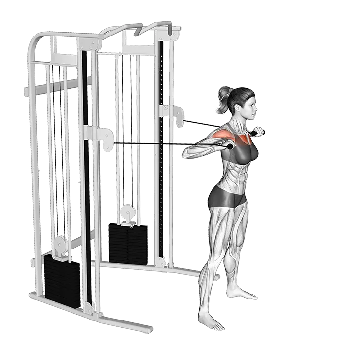 Cable Standing Chest Press exercise animation (Female)