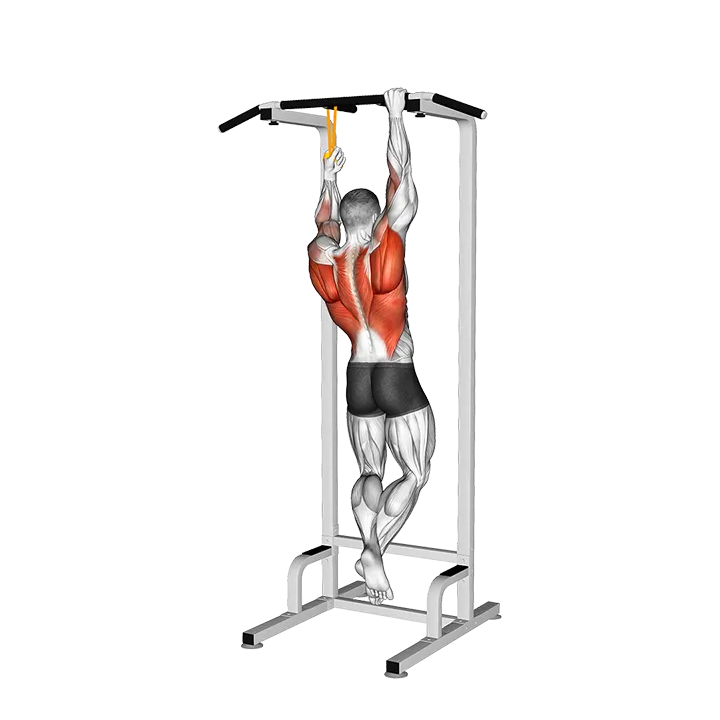Resistance Band Assisted Single Arm Pull-up exercise animation (Male)