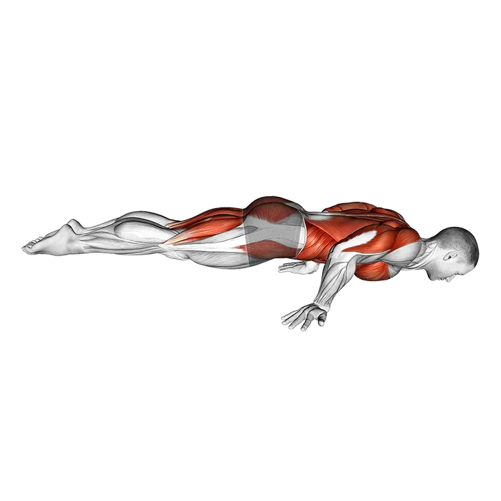 Elbow Planche exercise animation (Male)