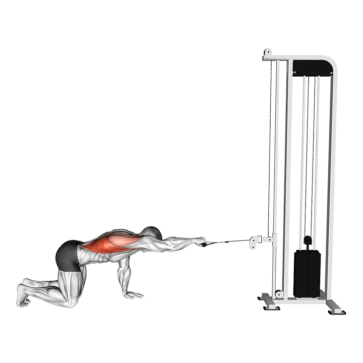 Cable Kneeling Single Arm Horizontal Row exercise animation (Male)