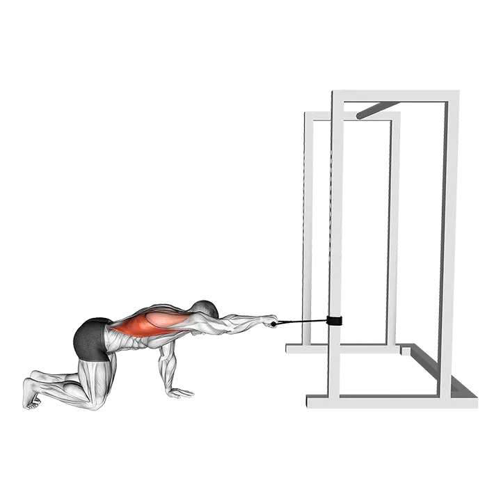 Band Kneeling Single Arm Horizontal Row exercise animation (Male)