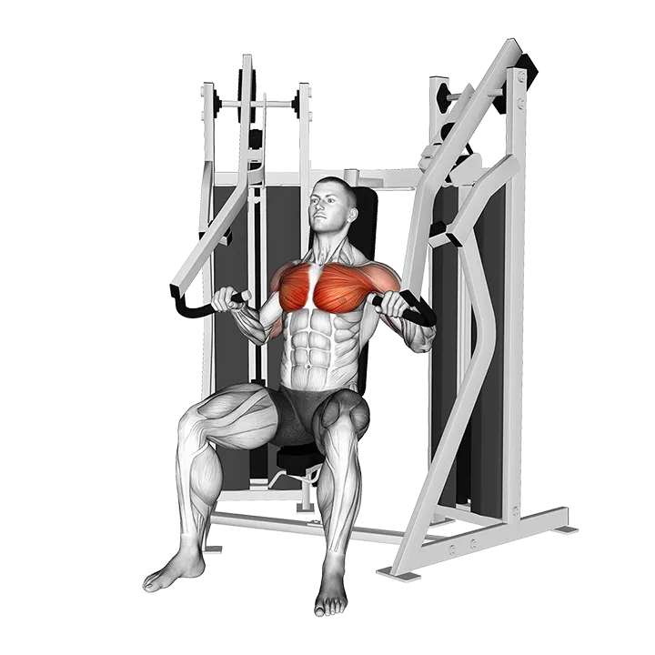 Lever Stack Seated Incline Chest Press exercise animation (Male)