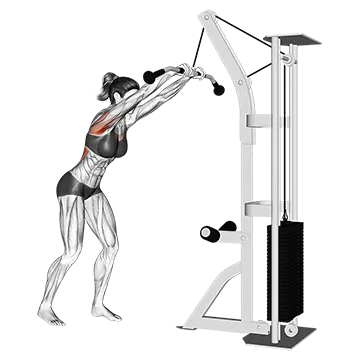 Cable straight arm pulldown (version 2)