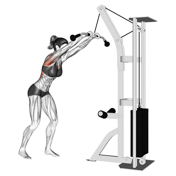 Cable straight arm pulldown (version 2) exercise animation (Female)