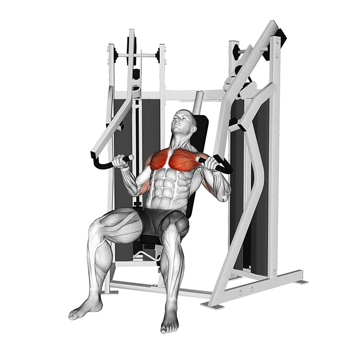 Lever Stack Seated Chest Press exercise animation (Male)