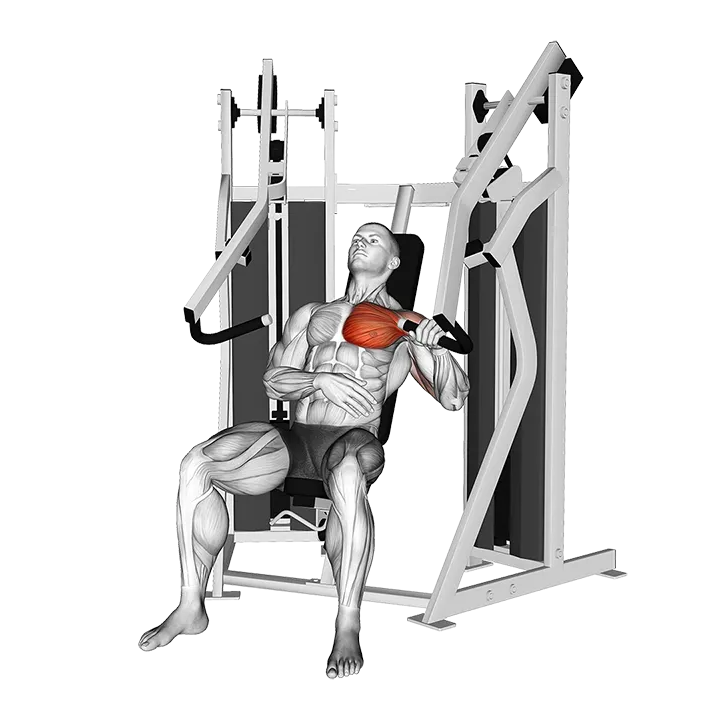 Lever Stack Seated Single Arm Chest Press exercise animation (Male)