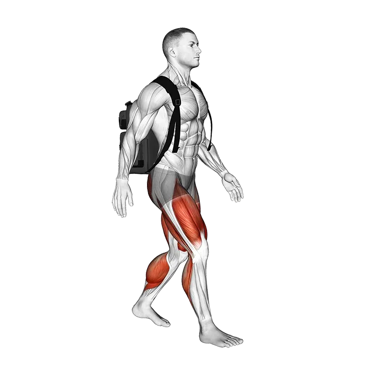Weighted Backpack Walking exercise animation (Male)