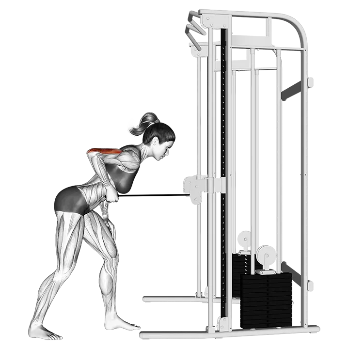 Cable kickback (version 2) exercise animation (Female)