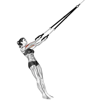 Suspension Arm Curl