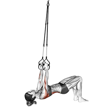 Suspension Bent knee Inverted Row