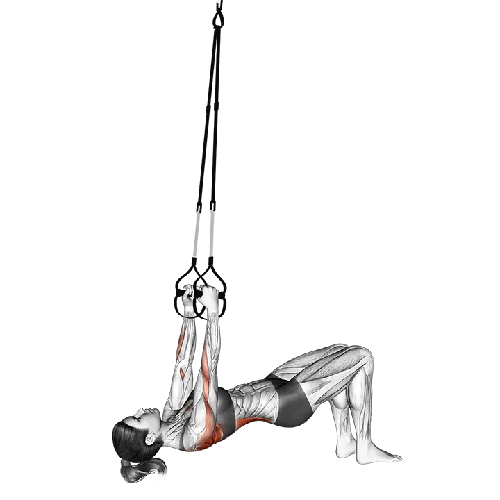 Suspension Bent Knee Inverted Row exercise animation (Mujer)