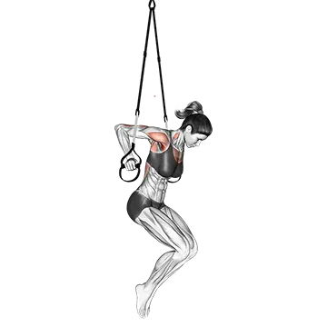 Suspension Chest Dip