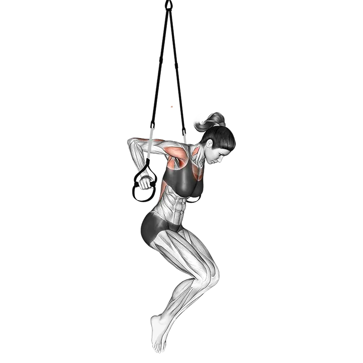 Suspension Chest Dip exercise animation (Female)
