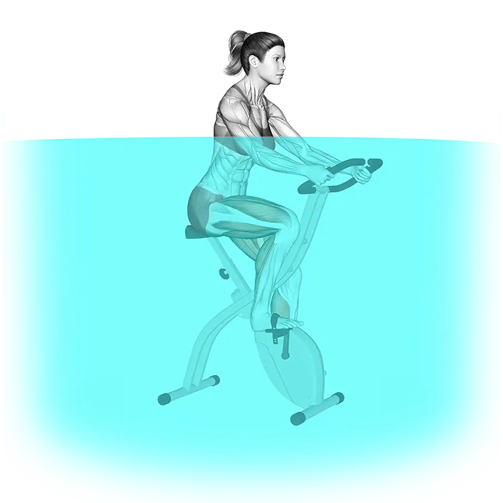 AquaBike exercise animation (Female)