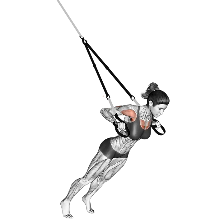 Suspension Chest Press exercise animation (Female)