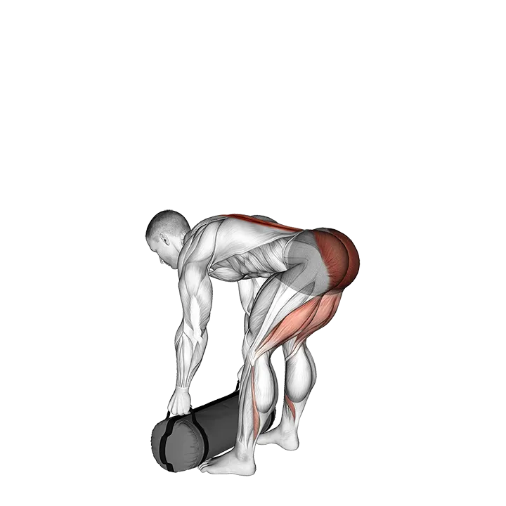 Weighted Sandbag Romanian Deadlift exercise animation (Male)