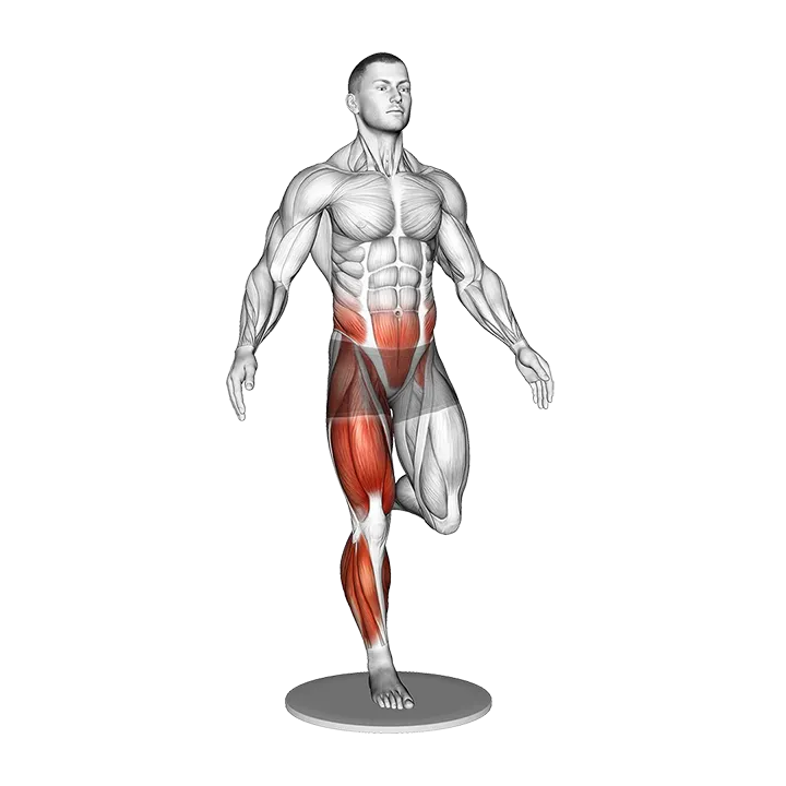 Balance Board Single Leg Balance exercise animation (Male)