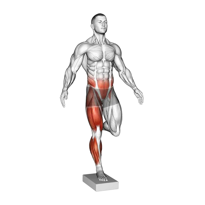 Balance Pad Single Leg Balance exercise animation (Male)