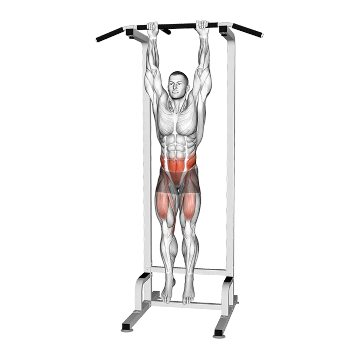 Hanging Alternating Knee Raise exercise animation (Male)