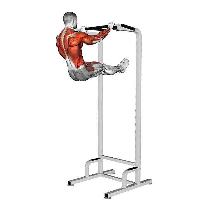 Headbanger exercise animation (Male)
