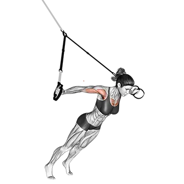 Suspension Fly