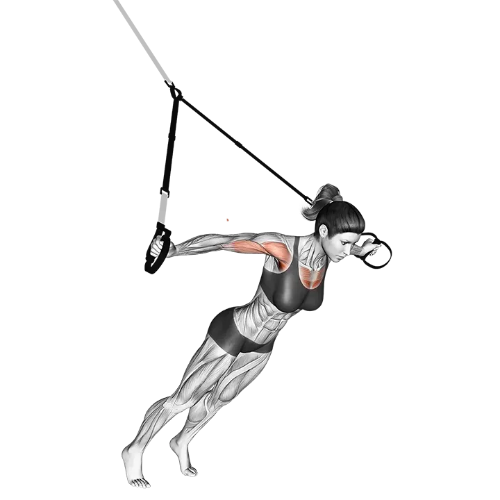 Suspension Fly exercise animation (Female)