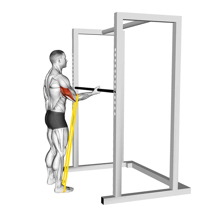 Resistance Band Standing Single Arm Triceps Stretch exercise animation (Male)