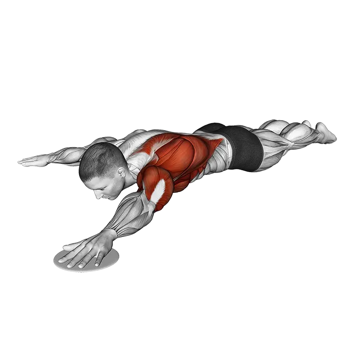 Lying Single Arm Slide from Y to T exercise animation (Male)