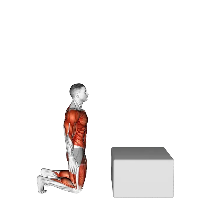 Kneeling to Box Jump exercise animation (Male)