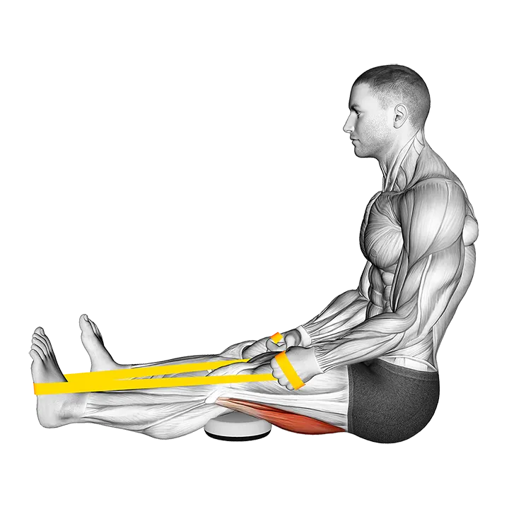 Resistance Band Seated Single Leg Hamstring Stretch exercise animation (Male)