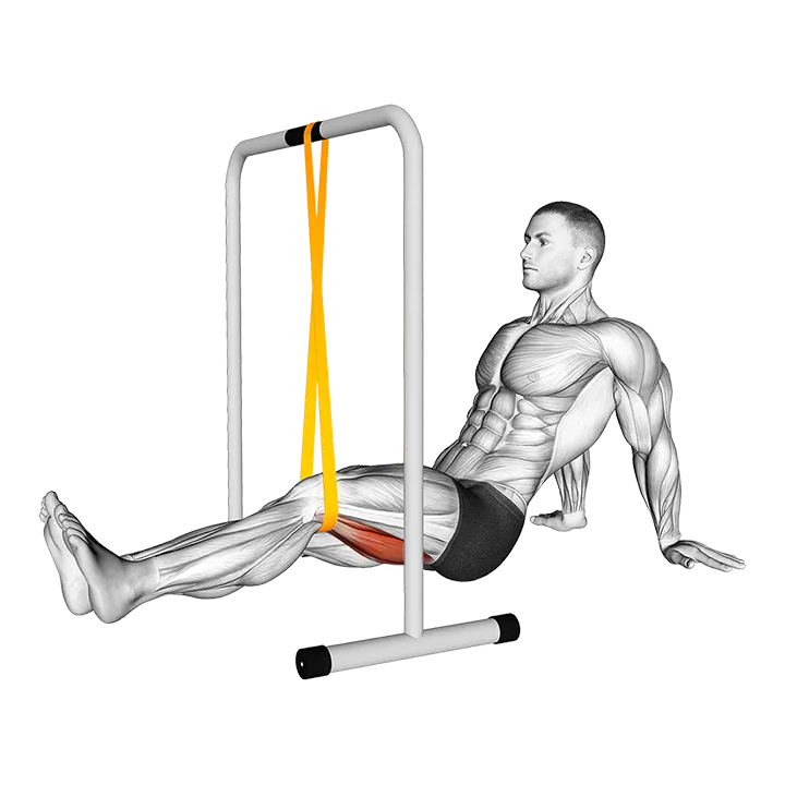 Resistance Band Seated Single Leg Knee Extension exercise animation (Male)