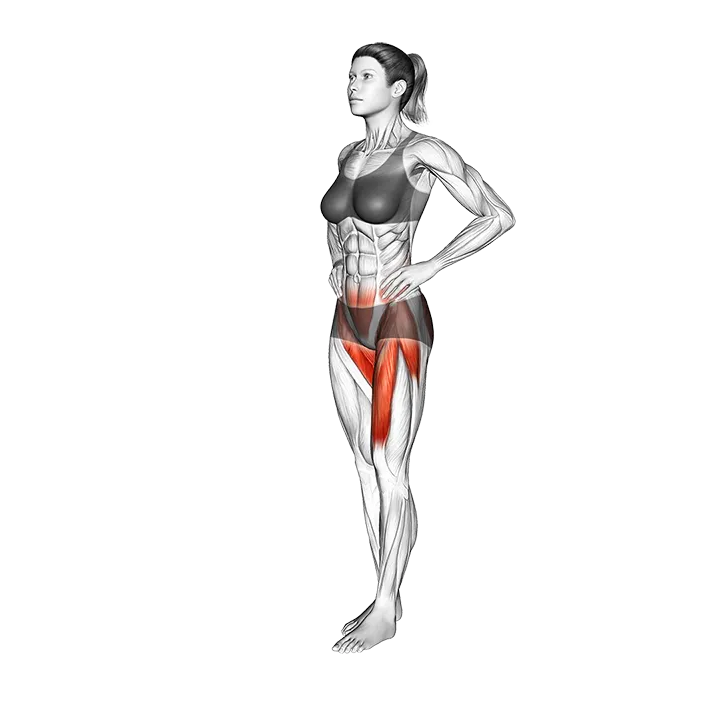 Standing Single Leg Front Back Side to Side Toe Tap exercise animation (Female)