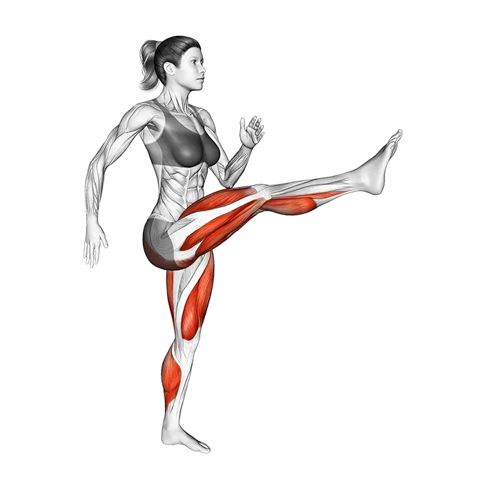 Walk Leg Kick exercise animation (Female)