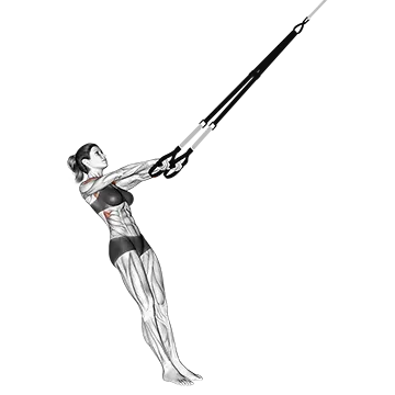 Suspension Front Raise
