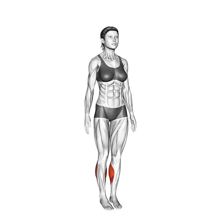 Calf Jump exercise animation (Female)