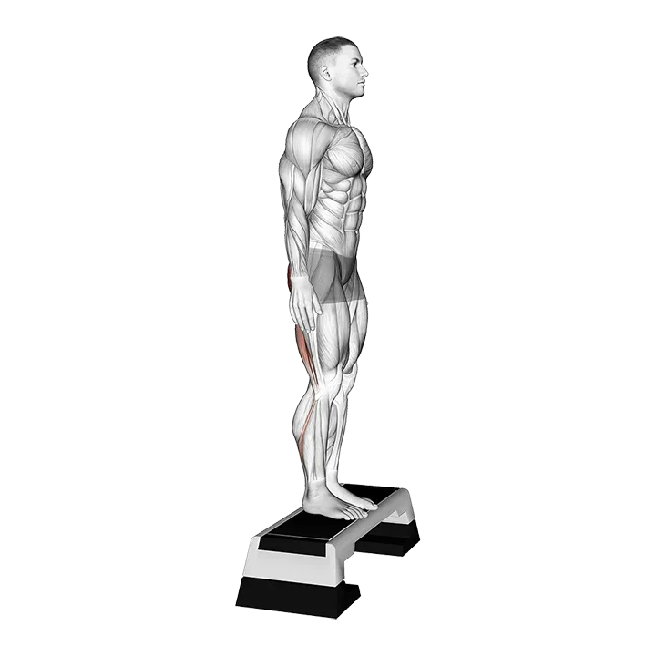 Bodyweight Jefferson Curl exercise animation (Male)