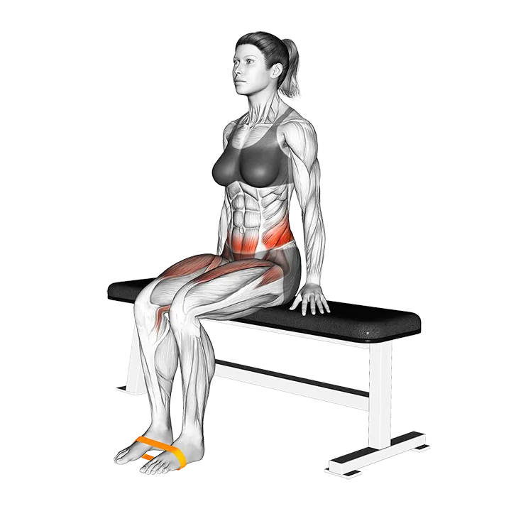 Resistance Band Seated Knee Raise exercise animation (Female)
