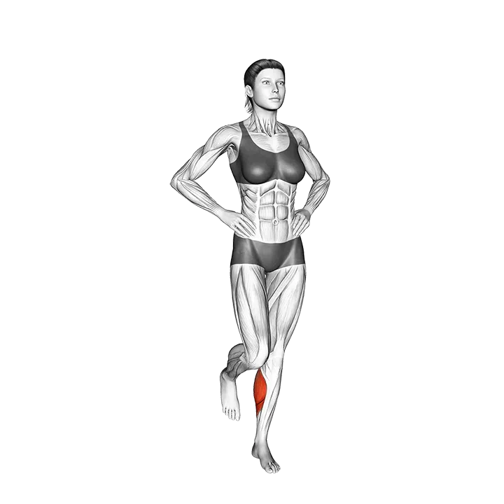 Single Leg Calf Jump exercise animation (Female)