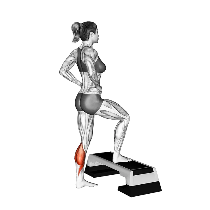 Single Leg Calf Jump StepBox Supported exercise animation (Female)