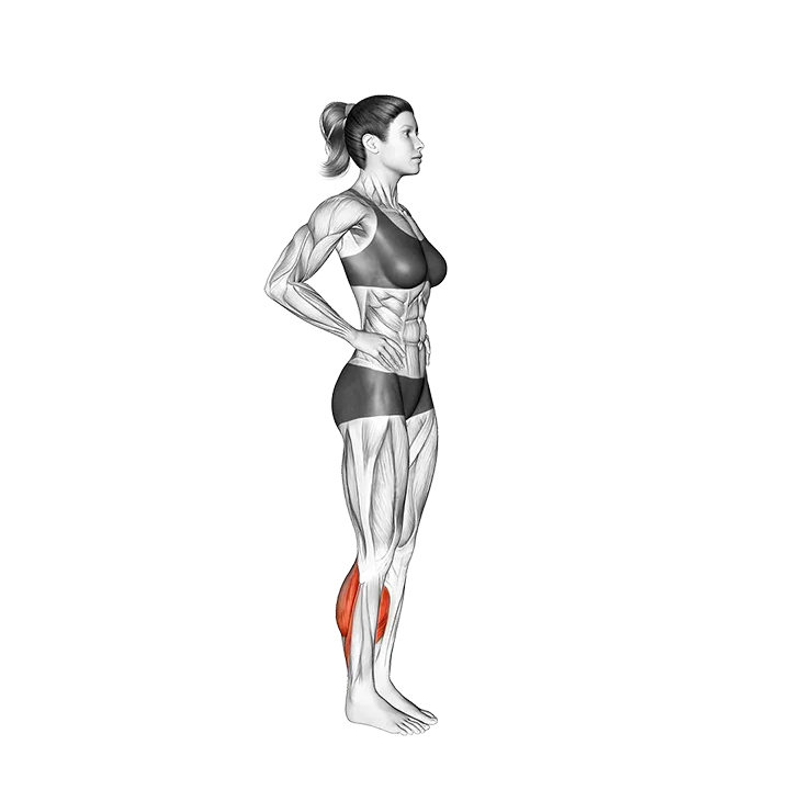 Calf Forward Jump exercise animation (Female)