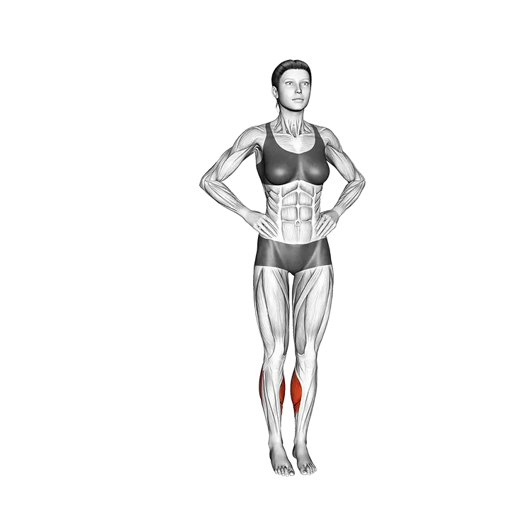 Calf Side to Side Jump exercise animation (Female)