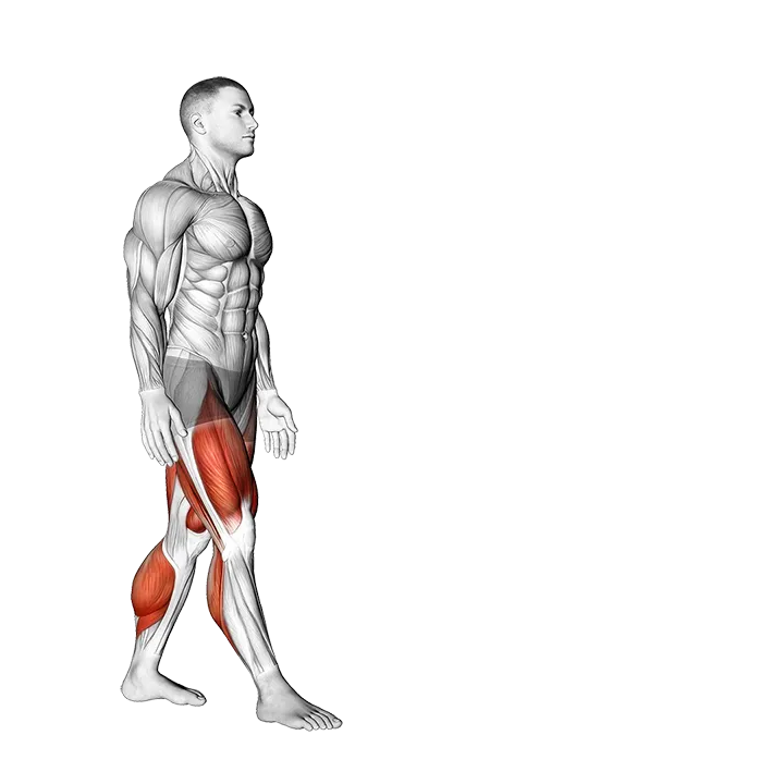 High Knee Walk exercise animation (Male)