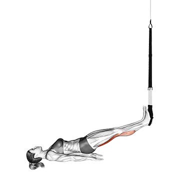 Suspension Hamstring Runner
