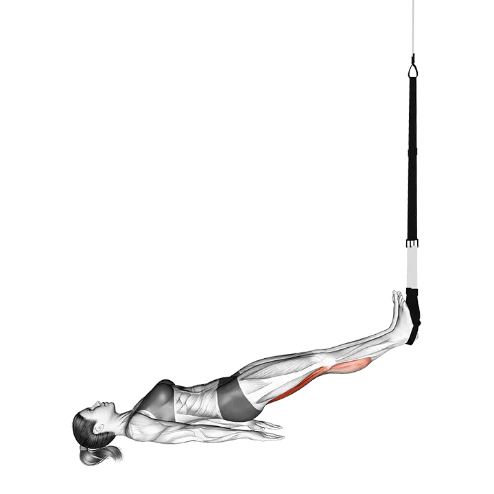 Suspension Hamstring Runner exercise animation (Female)